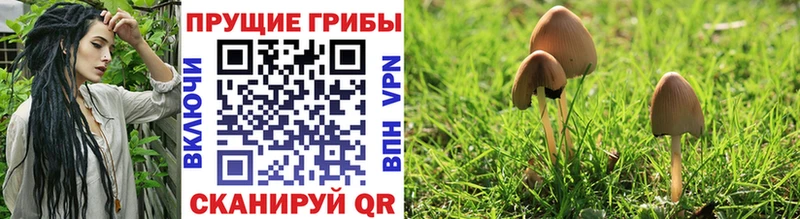 цена наркотик Вытегра Галлюциногенные грибы GOLDEN TEACHER