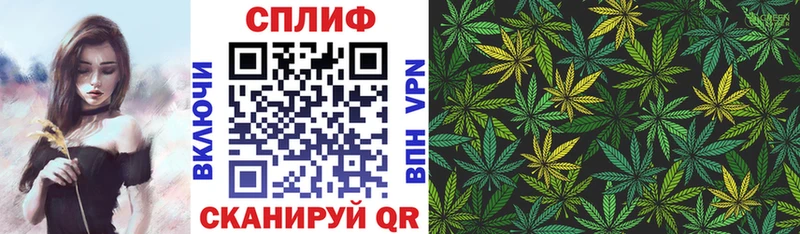 Каннабис SATIVA & INDICA  Вытегра 